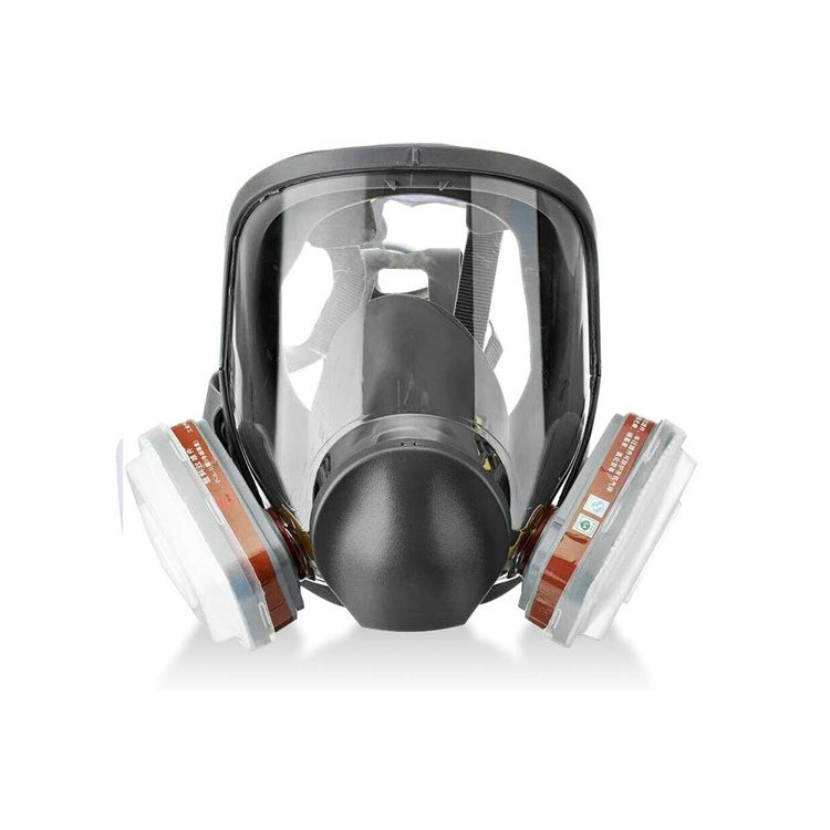DSFR01 Full Face Respirator Mask